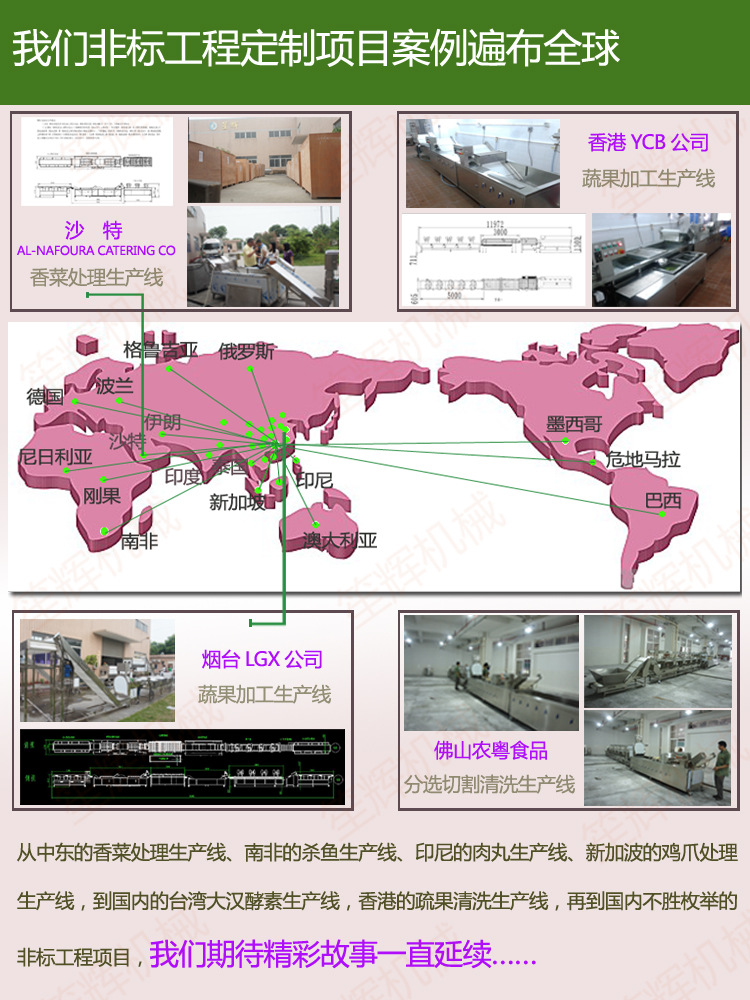 供應清洗機WL-24 專業臭氧消毒洗大棗 去雜去毛發洗菜機 商用