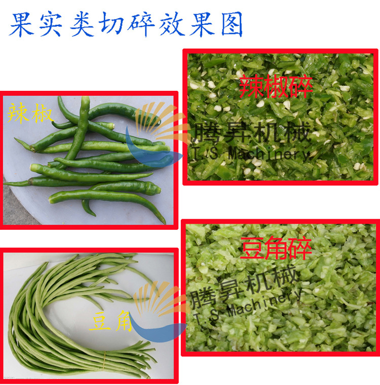 供應(yīng) 小型臺(tái)式多功能切碎機(jī) 商用電動(dòng)食物切碎機(jī) 打碎機(jī)