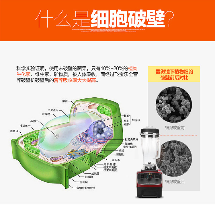 邁科頓碎冰機(jī)五谷現(xiàn)磨無渣家用商用破壁機(jī)多功能豆?jié){機(jī)料理攪拌機(jī)