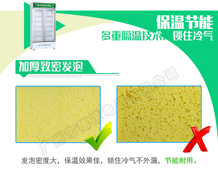 穗凌SL-900雙門立式陰涼冷柜單溫冷藏冰柜 商用展示柜 冷藏柜