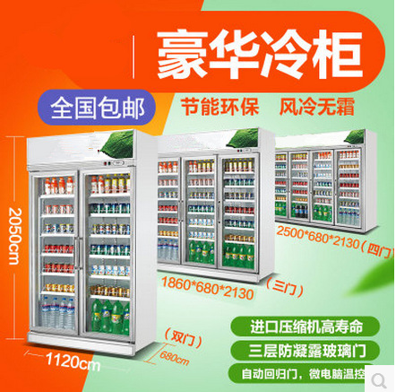 廠家直銷(xiāo)冰柜批發(fā) 立式雙門(mén)商用冰箱便利店展示柜超市飲料陳列柜