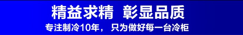 廠家直銷冰柜立式五門冷藏陳列柜 飲料展示冰箱 超市便利店保鮮柜