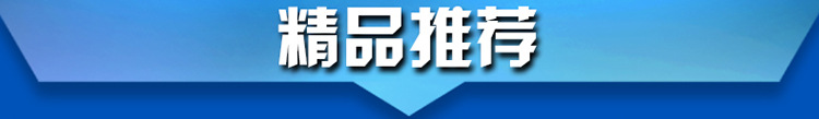 酒店不銹鋼豪華展示廚房冰柜 商用超市醫(yī)藥熟食展示538L臥式冷柜