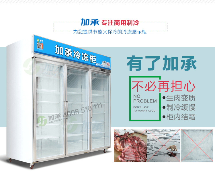 冷鮮肉凍丸子食品展示冰柜冷柜單溫風冷冷凍柜餃子柜