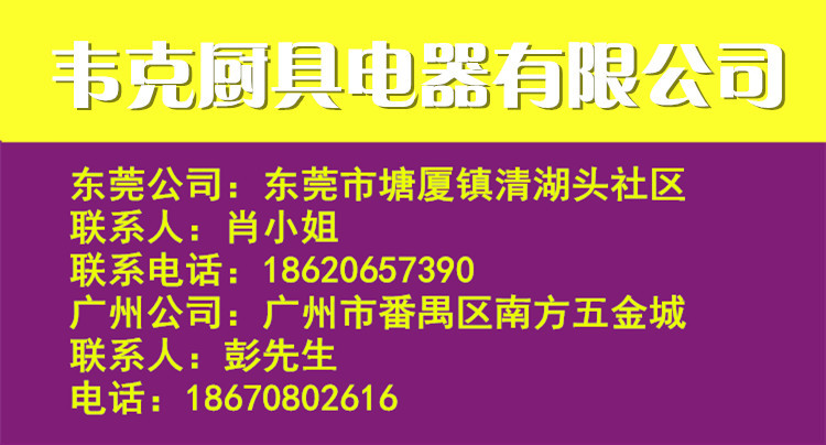 燃氣紅外線面火爐商用燒烤爐烤魚爐六頭煤氣烤箱林內(nèi)日式烤肉爐機